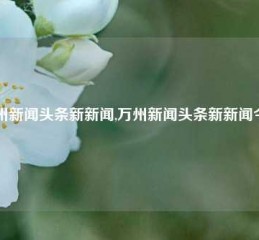 万州新闻头条新新闻,万州新闻头条新新闻今天