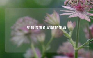 胡斌清简介,胡斌的老婆