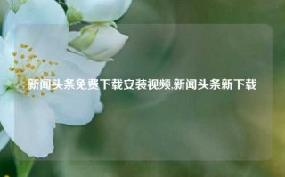 新闻头条免费下载安装视频,新闻头条新下载