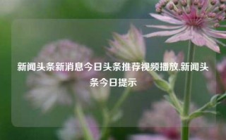 新闻头条新消息今日头条推荐视频播放,新闻头条今日提示