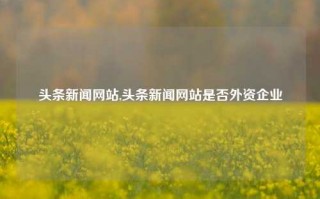 头条新闻网站,头条新闻网站是否外资企业