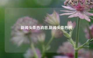 新闻头条热消息,新闻头条热榜