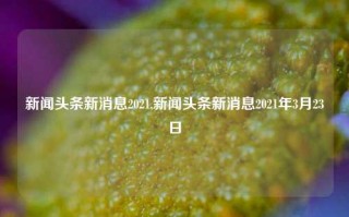 新闻头条新消息2021,新闻头条新消息2021年3月23日