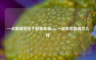 一点新闻资讯下载蓝色版app,一点资讯新闻怎么样