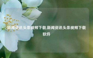 新闻资讯头条视频下载,新闻资讯头条视频下载软件