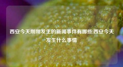 西安今天刚刚发生的新闻事件有哪些,西安今天发生什么事情