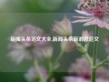 新闻头条范文大全,新闻头条新消息范文