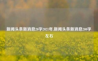 新闻头条新消息20字2021年,新闻头条新消息200字左右