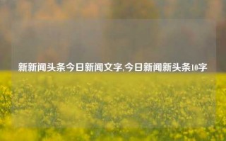 新新闻头条今日新闻文字,今日新闻新头条10字