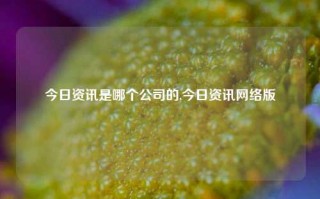 今日资讯是哪个公司的,今日资讯网络版