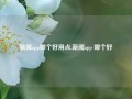 新闻app哪个好用点,新闻app 哪个好