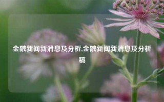 金融新闻新消息及分析,金融新闻新消息及分析稿