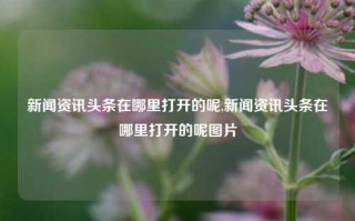 新闻资讯头条在哪里打开的呢,新闻资讯头条在哪里打开的呢图片