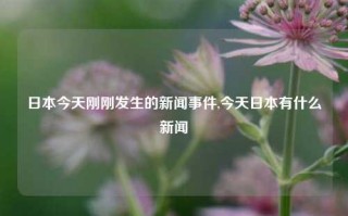 日本今天刚刚发生的新闻事件,今天日本有什么新闻