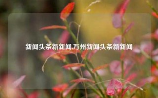 新闻头条新新闻,万州新闻头条新新闻