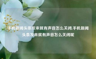 手机新闻头条发来就有声音怎么关闭,手机新闻头条发来就有声音怎么关闭呢