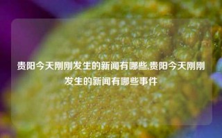 贵阳今天刚刚发生的新闻有哪些,贵阳今天刚刚发生的新闻有哪些事件