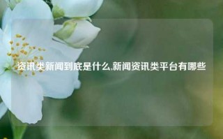 资讯类新闻到底是什么,新闻资讯类平台有哪些