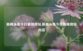 新闻头条今日新闻简短,新闻头条今日新闻简短内容