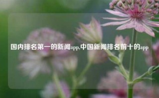 国内排名第一的新闻app,中国新闻排名前十的app