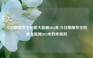 今日刚刚发生的重大新闻2024年,今日刚刚发生的重大新闻2024年四年级的