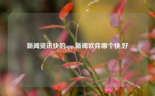 新闻资讯快的app,新闻软件哪个快,好