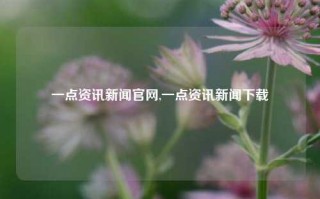 一点资讯新闻官网,一点资讯新闻下载