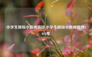 小学生简短小新闻摘抄,小学生简短小新闻摘抄2024年