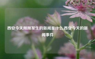 西安今天刚刚发生的新闻是什么,西安今天的新闻事件