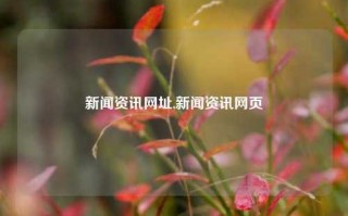 新闻资讯网址,新闻资讯网页