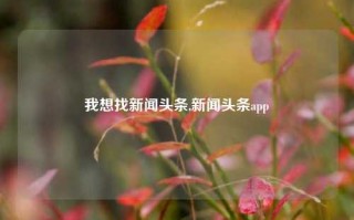 我想找新闻头条,新闻头条app