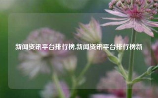 新闻资讯平台排行榜,新闻资讯平台排行榜新