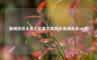 新闻资讯头条正能量文案摘抄,新闻头条100条