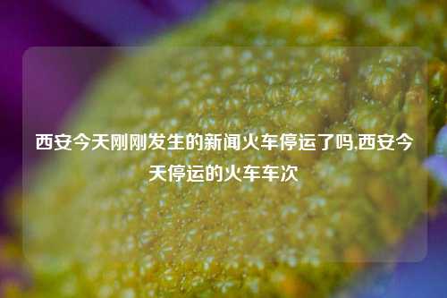 西安今天刚刚发生的新闻火车停运了吗,西安今天停运的火车车次-第1张图片-新闻资讯网