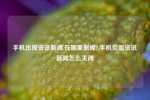 手机出现资讯新闻,在哪里删掉?,手机页面资讯新闻怎么关闭-第1张图片-新闻资讯网