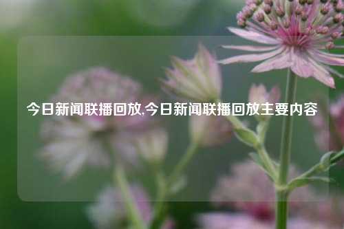 今日新闻联播回放,今日新闻联播回放主要内容-第1张图片-新闻资讯网