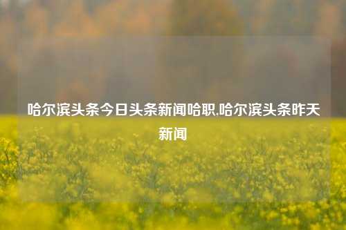 哈尔滨头条今日头条新闻哈职,哈尔滨头条昨天新闻-第1张图片-新闻资讯网