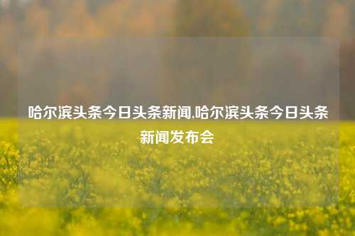 哈尔滨头条今日头条新闻,哈尔滨头条今日头条新闻发布会-第1张图片-新闻资讯网