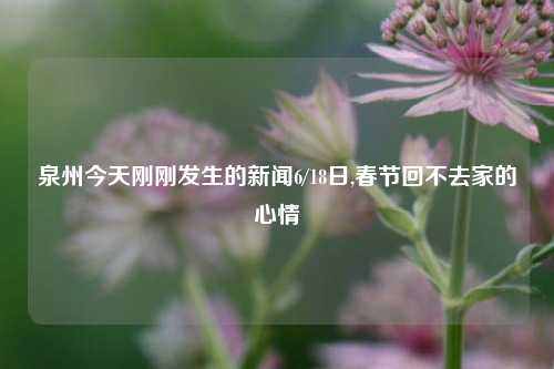 泉州今天刚刚发生的新闻6/18日,春节回不去家的心情-第1张图片-新闻资讯网