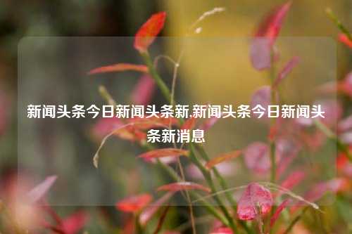 新闻头条今日新闻头条新,新闻头条今日新闻头条新消息-第1张图片-新闻资讯网