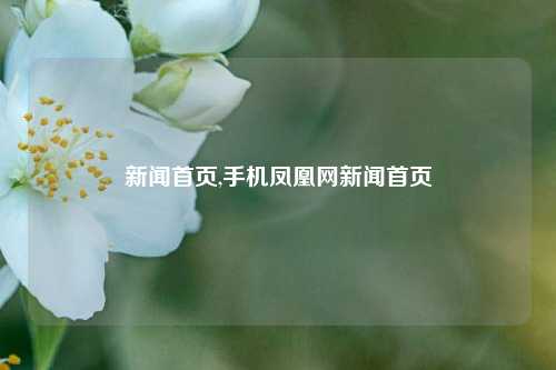 新闻首页,手机凤凰网新闻首页-第1张图片-新闻资讯网