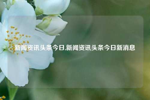 新闻资讯头条今日,新闻资讯头条今日新消息-第1张图片-新闻资讯网