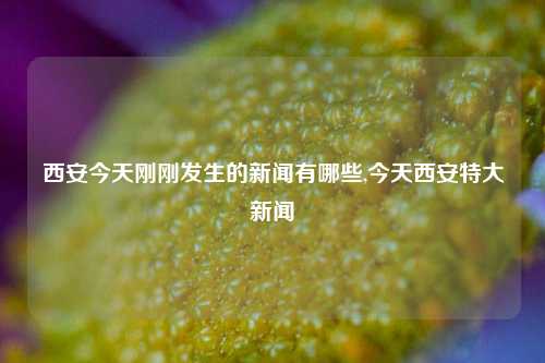 西安今天刚刚发生的新闻有哪些,今天西安特大新闻-第1张图片-新闻资讯网