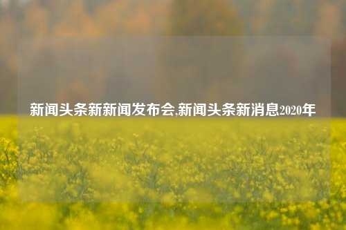 新闻头条新新闻发布会,新闻头条新消息2020年-第1张图片-新闻资讯网